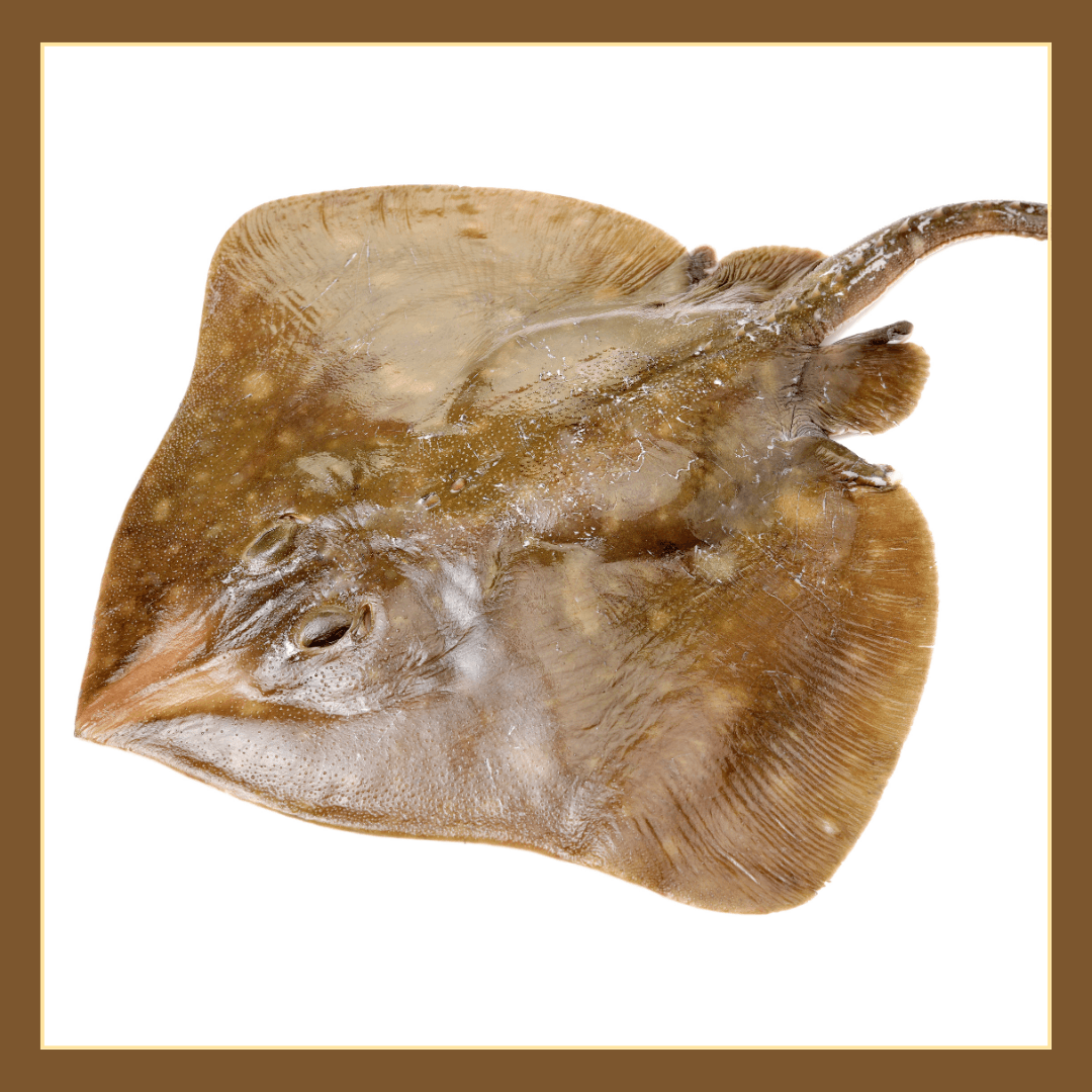 Skötuhlaðborð 23.des